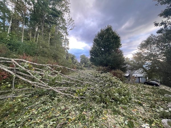 House Sitting in Asheville, NC During Hurricane Helene: My Unexpected Adventure